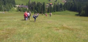Kaltenbronn